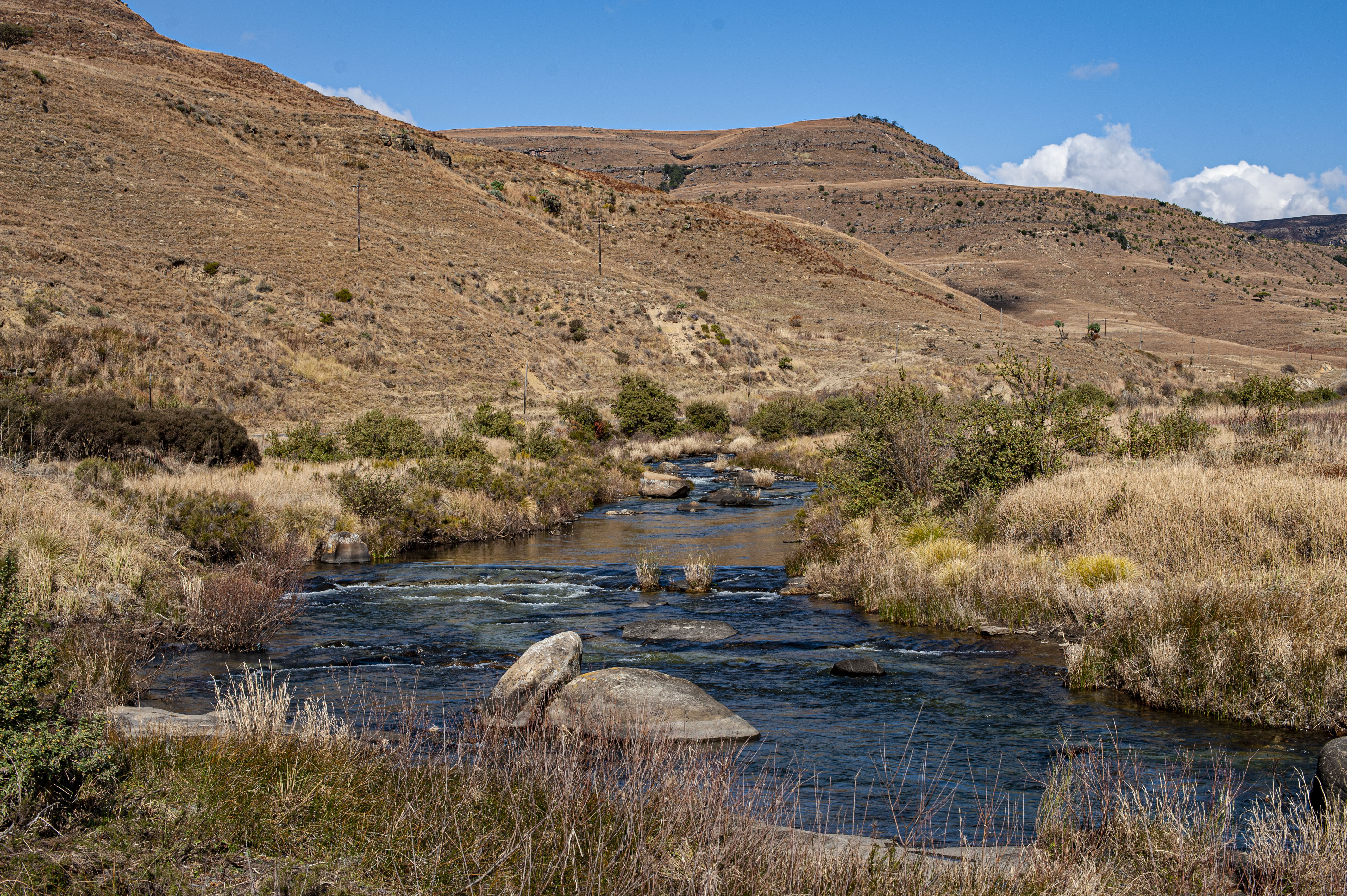 GYT 20220625 115153  DSC6052